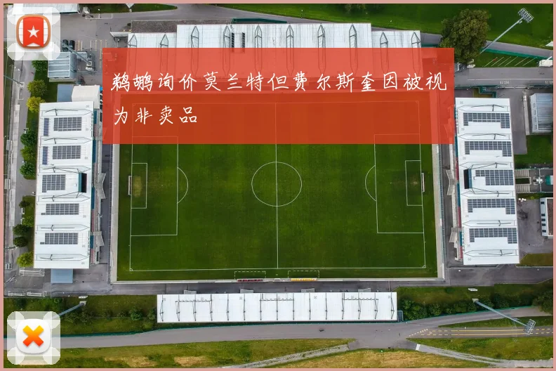 鹈鹕询价莫兰特但费尔斯奎因被视为非卖品